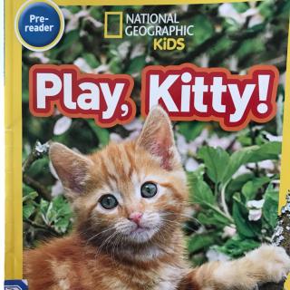 Play，Kitty！