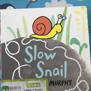 slow snail 慢吞吞的蜗牛- 晚安幼稚绘