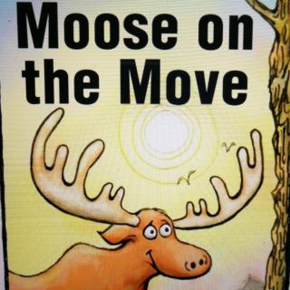 LEVELED BOOK.H Moose on the Move