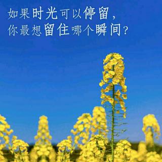 美丽的距离  作者:肖曦  朗诵：刘红欣