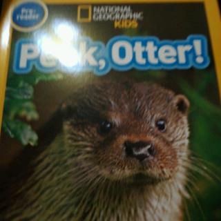 国家地理pre-1 Peek,Otter