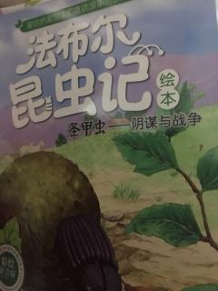 法布尔昆虫记圣甲虫