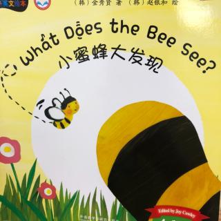 英文绘本《what does the bee see?》小蜜蜂大发现