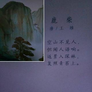 鹿柴（唐/王维）