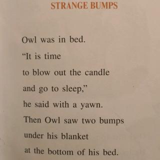 Owl at home-strange bumps