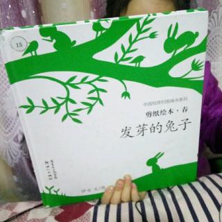 淼淼讲故事246发芽的兔子