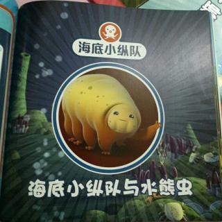 海底小众队与水熊虫