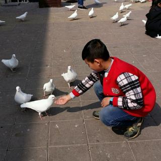 魏子骞《阳光》