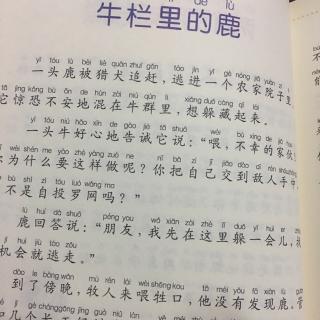 牛栏里的鹿