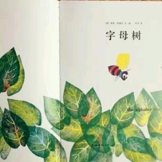 冯俊冯老师讲绘本故事《字母树》