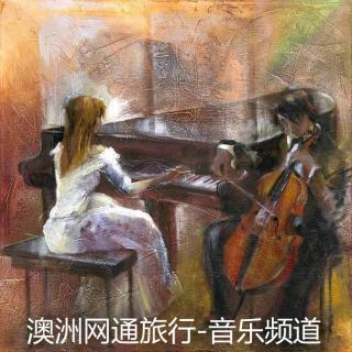 《悲歌》钢琴与大提琴的悲伤之美!