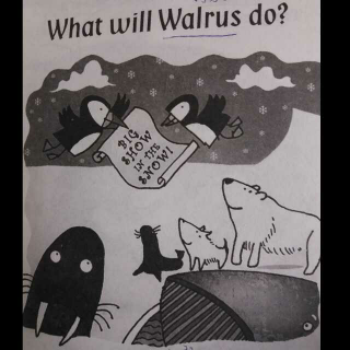 what will walrus do?