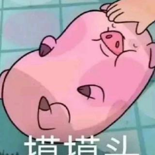 诗歌词曲选