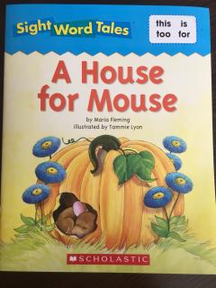 A house for Mouse.