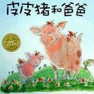 金阳光幼儿园   ―阳光绘本馆―《皮皮猪和爸爸》