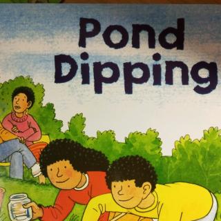 pond dipping 1