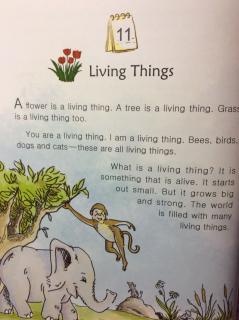 2-11 Living things