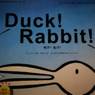 Duck! Rabbit!