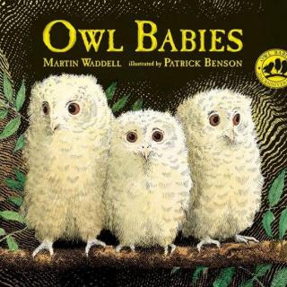 【艾玛读绘本】Owl Babies