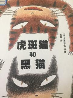 绘本故事《虎斑猫和黑猫》