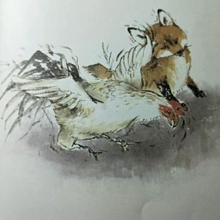 西顿动物记--春田狐的爱②