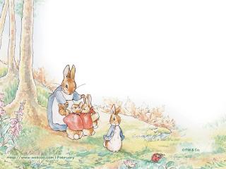 小兔彼得和他的朋友们  —  1