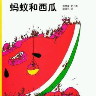 菁菁老师讲故事《蚂蚁和西瓜》