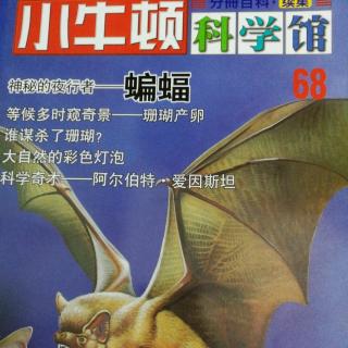 小牛顿科学馆 68⑤ 爱因斯坦