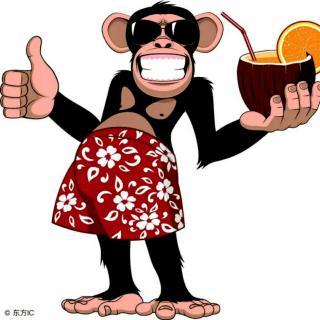 爱炫耀的猴子先生