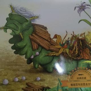 《法布尔昆虫绘本》—能干的小裁缝被管虫