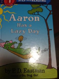 Aaron has a lazy day