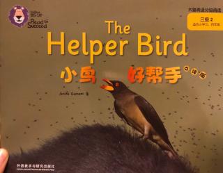 8-The helper bird小鸟好帮手