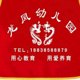 龙凤幼儿园园长妈妈讲故事15《小公鸡办好事》