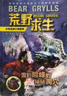 雪豹险峰的神秘洞穴：第十四章