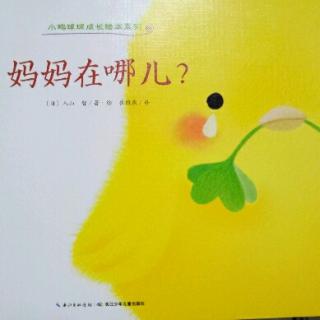 《妈妈在哪儿？》