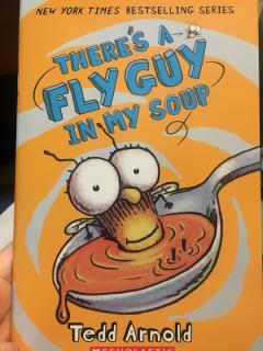 There's a fly guy in my soup