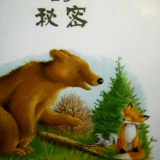 樊相小童星幼儿园园长妈妈讲绘本故事《大棕熊🐻的秘密》