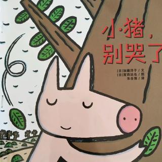 《小猪，别哭了》