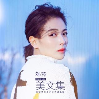 刘涛美文-归途