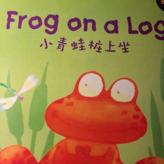 丽声拼读绘本英语～frog on a log