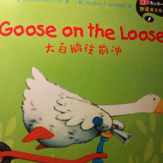 丽声拼读英文绘本～goose on the loose