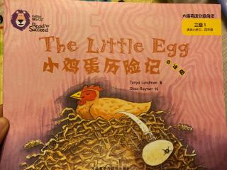 11-The little egg小鸡蛋历险记