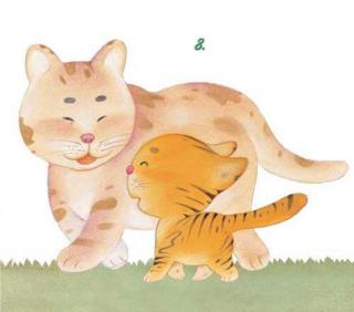 赛锐思睡前故事《小猫和老虎》