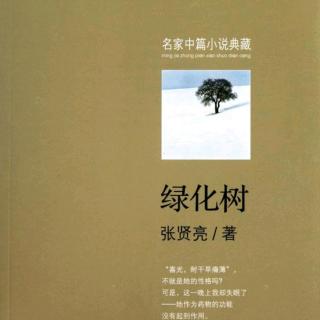 张贤亮小说《绿化树》（1—3）