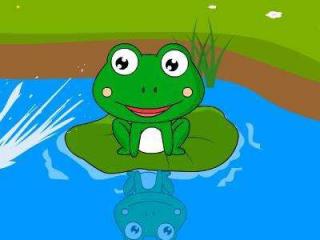 小青蛙洗澡🐸