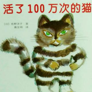 【巴特妈妈讲故事】——《活了100万次的猫》