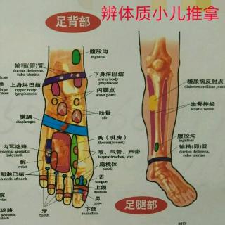 第六节   上  穴位