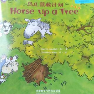Horse   up   a   Tree