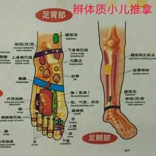 夜啼  惊风  泄泻