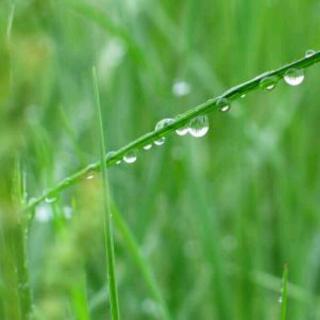 春雨·怀古